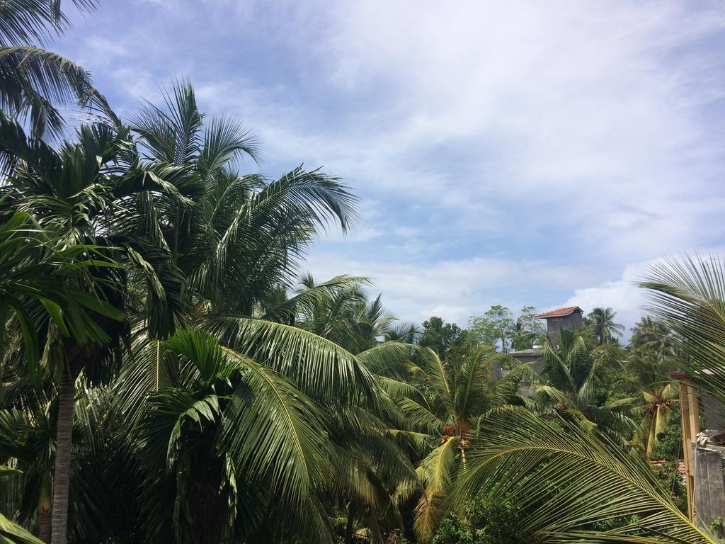Hansa Villa Unawatuna Dış mekan fotoğraf